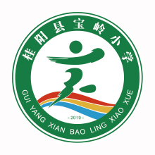 桂阳县宝岭小学